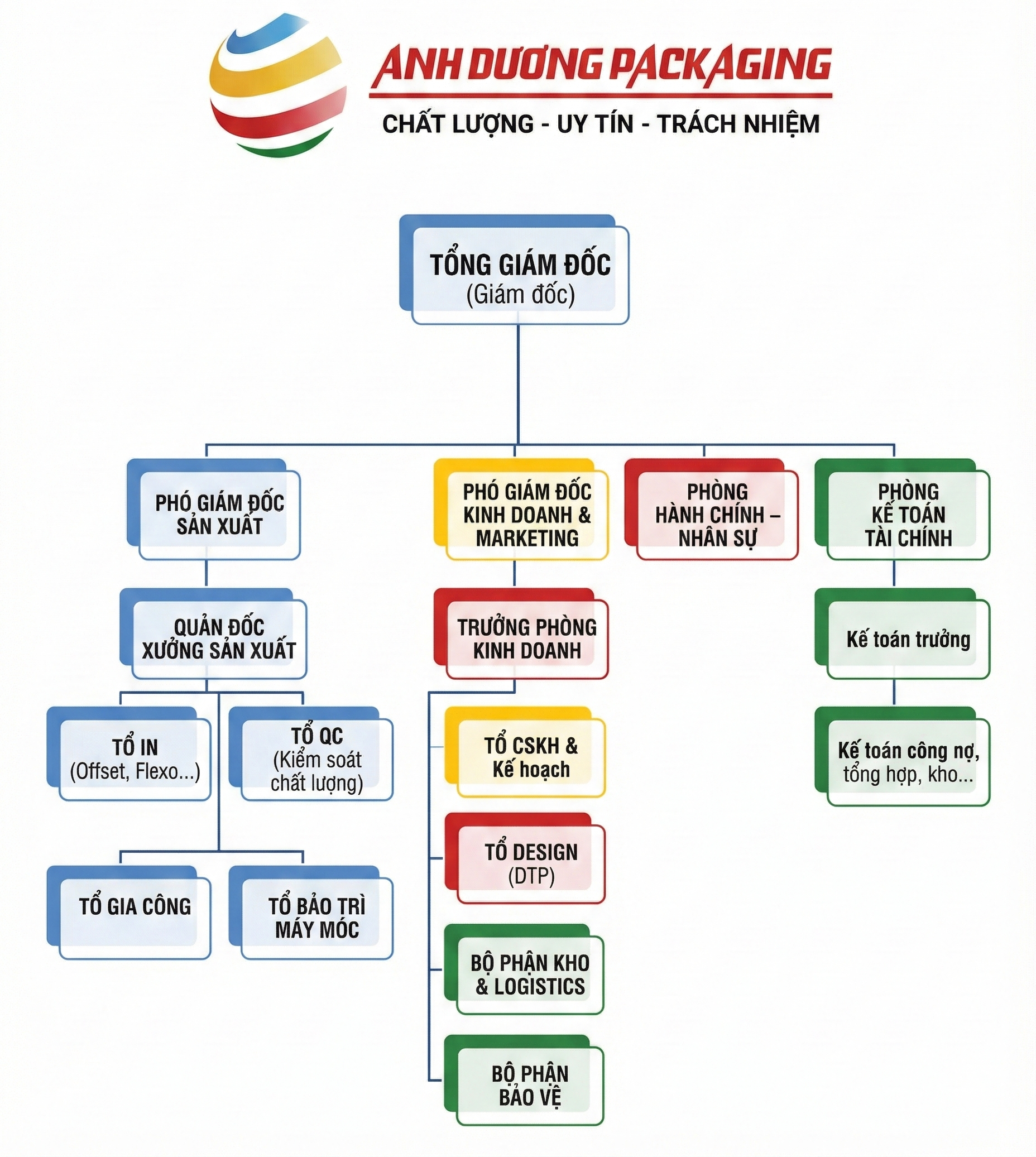 Sơ đồ cơ cấu tổ chức Bao Bì Ánh Dương